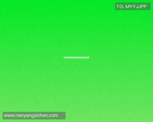 欧美篮球明星盘点他们的传奇故事与辉煌成就