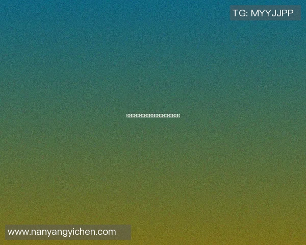 篮球明星的霸气眼神背后隐藏的故事与奋斗历程
